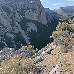 La Nature