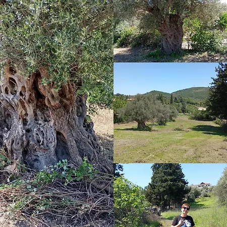 Casa de Férias La Nature