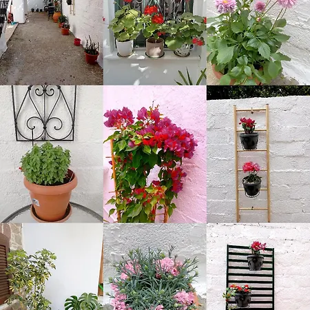 Casa vacanze La Nature *